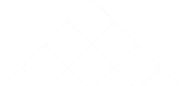 Vector